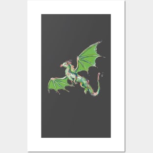 Cool Dragon Shirts for Dragons Lovers Posters and Art